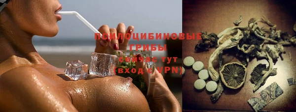 стаф Алексеевка