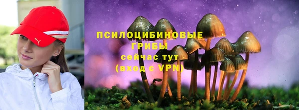 стаф Алексеевка