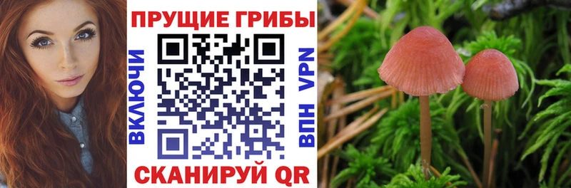 даркнет сайт  Жуков  blacksprut ONION  Галлюциногенные грибы мухоморы 